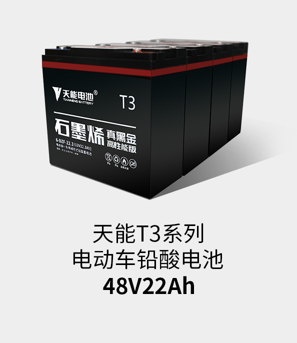BBIN宝盈集团T3系列48v22ah